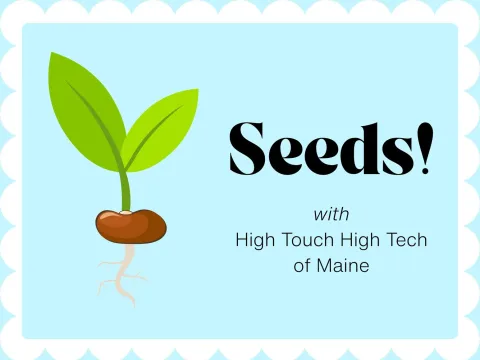 drawing of a seedling on a blue background
