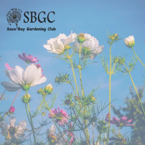 flowers with sbgc logo