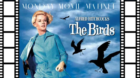 woman running from blackbirds