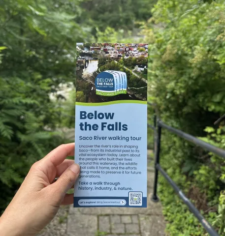 brochure in front of stairs and trees