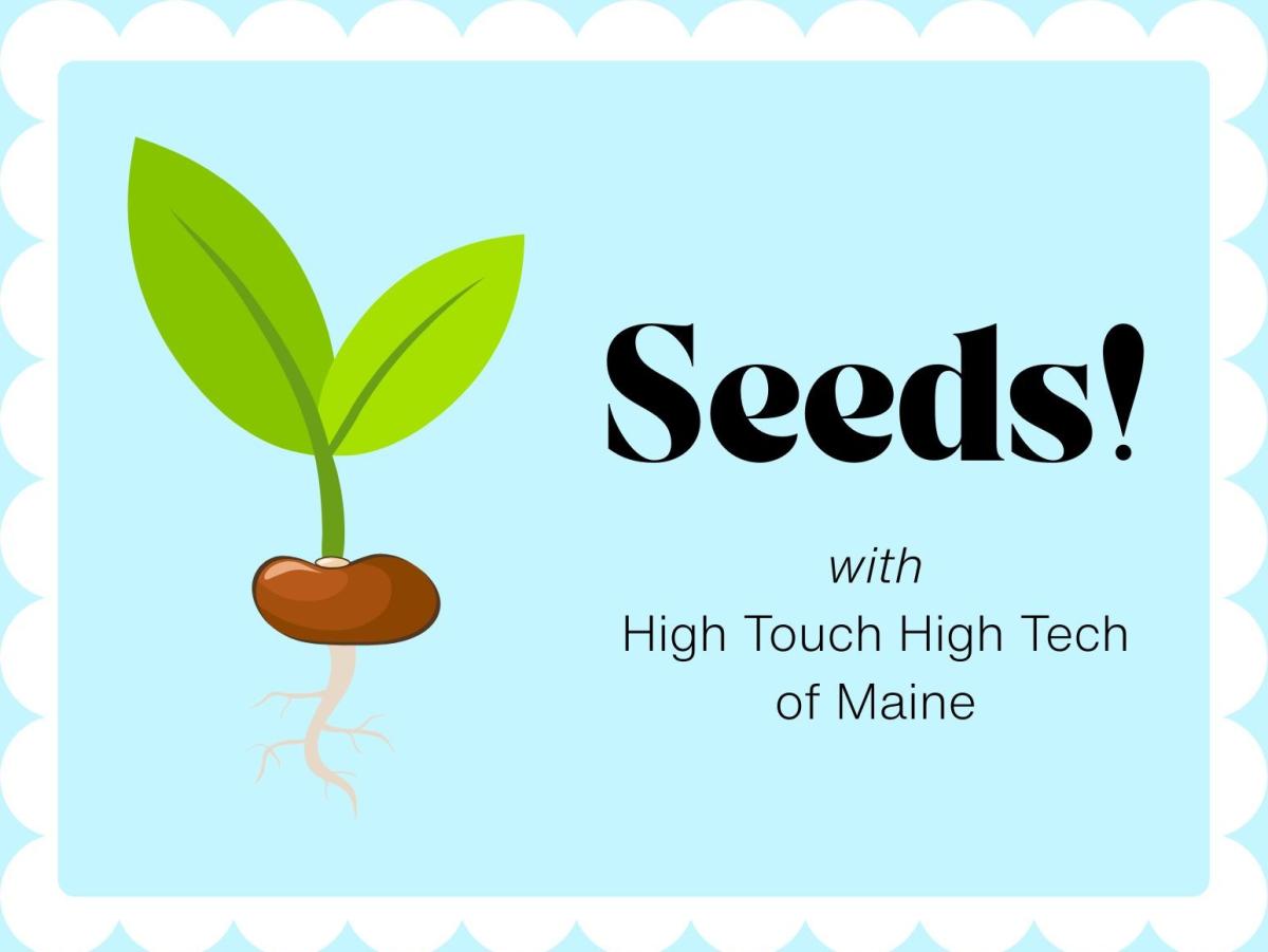 drawing of a seedling on a blue background